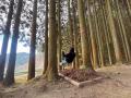 奈良・山添村に一棟貸しコテージ「private villa 里音