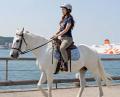 パリ五輪メダリストから競馬界のレジェンドまで集結! パリ五輪メダリストから競馬界のレジェンドまで集結!