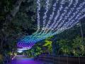 夜空を歩き、ほたるに出会う夜。初夏の涼やかな御殿場 夜空を歩き、ほたるに出会う夜。初夏の涼やかな御殿場
