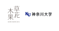 【株式会社キナリ】神奈川大学と「ゆず残渣」の皮膚有