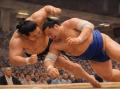 初心者でも楽しめる「がっぷり四つで学ぶ 大相撲観戦
