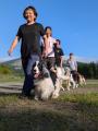 初夏の遊園地で愛犬とおでかけ「第2回FUJI-Qわんわん