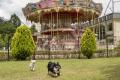 初夏の遊園地で愛犬とおでかけ「第2回FUJI-Qわんわん