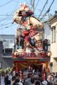 【福井県坂井市】19日から北陸三大祭「三国祭」　山車