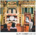 六甲高山植物園 花盛り！ 大群落の「クリンソウ」が見
