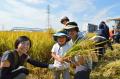 つくば市で田植え体験　稲刈りまでの連続企画スタート