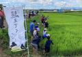 つくば市で田植え体験　稲刈りまでの連続企画スタート
