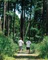 自分のためが、地球のためになり、習慣が循環をうみだ