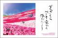 「エコカレンダー 2027」キャッチコピー募集キャンペ