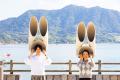 うさぎ×あじさいを思う存分楽しむ　「うさぎ島あじさ