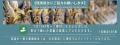 【1日400名限定】京都嵐山6月若鮎祭り 鮎の塩焼き試 【1日400名限定】京都嵐山6月若鮎祭り 鮎の塩焼き試