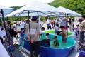 【1日400名限定】京都嵐山6月若鮎祭り 鮎の塩焼き試 【1日400名限定】京都嵐山6月若鮎祭り 鮎の塩焼き試