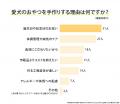 愛犬の手作りおやつ、経験者は33.00%|理由1位「誕生 愛犬の手作りおやつ、経験者は33.00%|理由1位「誕生