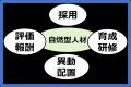 “最適解”提供のための「人的資本」戦略を強化 “最適解”提供のための「人的資本」戦略を強化