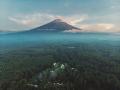 富士山と芝桜の絶景「富士芝桜まつり」芝桜のおすそわ 富士山と芝桜の絶景「富士芝桜まつり」芝桜のおすそわ