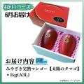 宮崎の旬を毎月お届け。「みやざき太陽の恵み定期便」