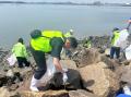 長谷工グループのサステナビリティ活動グループ社員・