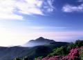 【霧島市】霧島連山で「ミヤマキリシマ」が咲き始め