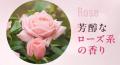 ＼待望の再販／シュっとひと吹きでニオイも気分もリフ