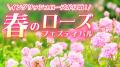 【泉南市ふるさと納税】魅力発信マガジン「せんなん 【泉南市ふるさと納税】魅力発信マガジン「せんなん