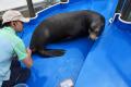 サンシャイン水族館いきものディスカバリー通信vol.27 サンシャイン水族館いきものディスカバリー通信vol.27
