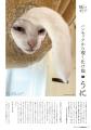 猫だけど猫じゃない!?︎　不思議な仕草や表情が魅力の