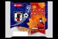 公益財団法人日本サッカー協会公認 サッカー日本代 公益財団法人日本サッカー協会公認 サッカー日本代
