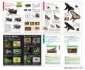 【最強の持ち歩き図鑑】『学研の図鑑LIVEポケット 昆 【最強の持ち歩き図鑑】『学研の図鑑LIVEポケット 昆