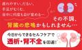クレアチニン、eGFR、尿たんぱく…「少し高いかな」で