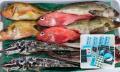全日食チェーン × みらいマルシェ、「月替わり旬魚フ 全日食チェーン × みらいマルシェ、「月替わり旬魚フ