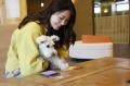 【開業1周年】愛犬お祝いガチャが登場！奥日光・愛犬