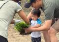 田植えから稲刈りまで家族で体験　さいたま市岩槻区で