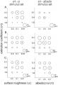【玉川大学脳科学研究所】“透明感”を生む特徴とutf-8