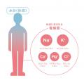 キレイな人は知っている。 -- 電解質という答え。「シ