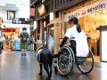 空港で未来の介助犬を育成!介助犬の卵たちがセントレ 空港で未来の介助犬を育成!介助犬の卵たちがセントレ