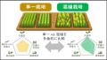 「収量」だけじゃない 様々な栽培特性を空から測る新