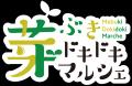年間200万人以上が訪れる人口1400人の世界遺産・白川