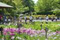 やまと花ごよみ202６「にぎわいマルシェin馬見花菖蒲