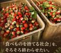 【畑を救う!クラウドファンディング】畑で捨てられて 【畑を救う!クラウドファンディング】畑で捨てられて