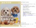 【Dog Hug Life】Instagramの累計閲覧数が120万PVを突 【Dog Hug Life】Instagramの累計閲覧数が120万PVを突