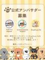【Dog Hug Life】Instagramの累計閲覧数が120万PVを突 【Dog Hug Life】Instagramの累計閲覧数が120万PVを突