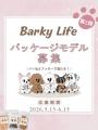 【Dog Hug Life】Instagramの累計閲覧数が120万PVを突 【Dog Hug Life】Instagramの累計閲覧数が120万PVを突