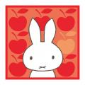 今年は「あか」のミッフィーがやってくる！ ジェイア
