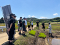 【埼玉県寄居町で5月27日「田植祭」開催】4年目となる