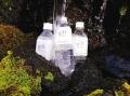 年に一度の泉水源地一般開放！「ぬまづの水gift」の配