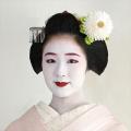 京都の花街文化を象徴する“舞妓さん”をテーマに永樂屋 京都の花街文化を象徴する“舞妓さん”をテーマに永樂屋