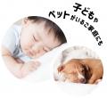 ダニ忌避率99.1%*なのに天然由来成分98%*処方
utf-8