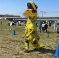 江戸川に満開のポピーを見に行こう！5月30日（土）に