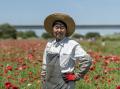 江戸川に満開のポピーを見に行こう！5月30日（土）に