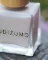 夏を彩るANDIZUMOの別注カラー